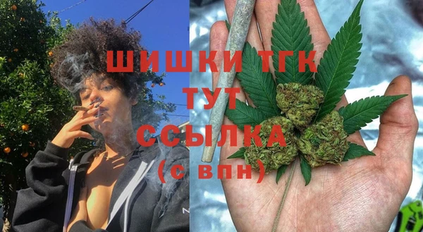 гидропоника Каменка