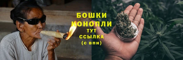 гидропоника Каменка