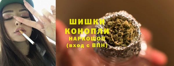 гидропоника Каменка