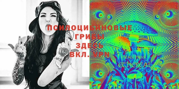 мдпв Иннополис
