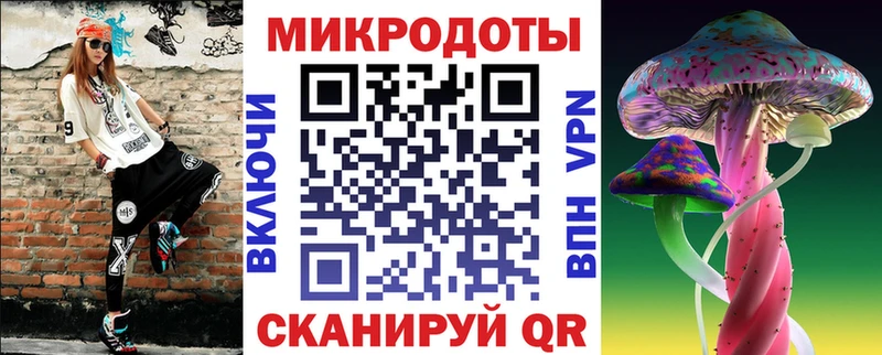 Купить где Камбарка Псилоцибиновые грибы MAGIC MUSHROOMS